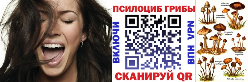 Купить где  Белебей  Псилоцибиновые грибы мухоморы 